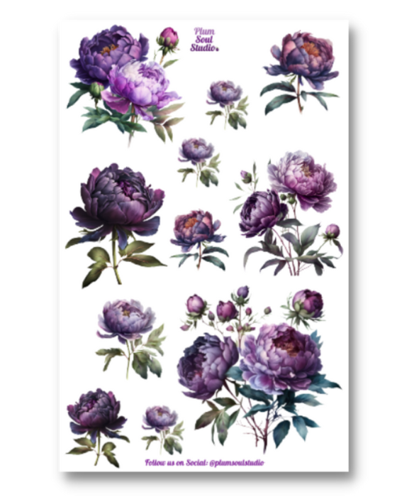 Purple Peonies