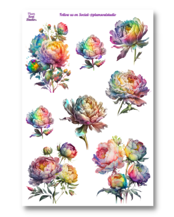 Peonies of Promise