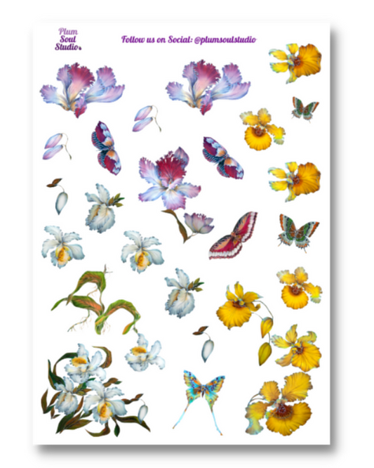 Orchids on Display Sticker Sheet